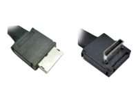Intel OCuLink Cable Kit AXXCBL800CVCR - Sisäinen SAS-kaapeli - 4i MiniLink SAS (SFF-8611) (uros) suora to 4i MiniLink SAS (SFF-8611) (uros) oikeakulmainen - 80 cm AXXCBL800CVCR