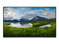 Dell P2425H - ilman telinettä - LED-näyttö - Full HD (1080p) - 24" DELL-P2425HWO