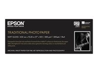 Epson Traditional Photo Paper - Rulla (43,2 cm x 15 m) - 300 g/m² - valokuvapaperi malleihin SureColor P5000, P800, SC-P10000, P20000, P5000, P7500, P900, P9500 C13S045054