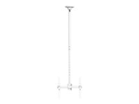 HI-ND Ceiling Mount Universal - Asennuspakkaus (kattoasennus, teleskooppitanko) malleihin LCD-näyttö - valkoinen, RAL 9003 -näytön koko: 32"-55" C-CM01-01