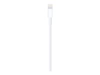 Apple - Salamakaapeli - Lightning uros to USB uros - 1 m MUQW3ZM/A