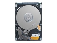 Dell - Kiintolevyasema - 1 Tt - hot-swap - 2.5" - SATA 6Gb/s - 7200 kierrosta/min malleihin PowerEdge T430 (2.5") 400-AUWL