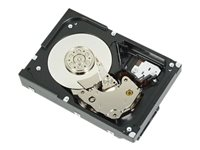 Dell - Kiintolevyasema - 4 Tt - 3.5" - SATA - 7200 kierrosta/min malleihin PowerEdge T150 400-BLNW