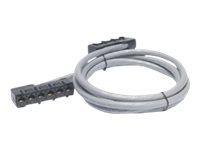 APC Data Distribution Cable - Verkon kaapeli - RJ-45 (naaras) to RJ-45 (naaras) - 11.3 m - UTP - CAT 5e - harmaa DDCC5E-037