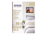 Epson Premium Glossy Photo Paper - Kiiltävä - hartsipinnoite - Rulla (61 cm x 30,5 m) - 165 g/m² - 1 rulla (rullat) valokuvapaperi malleihin SureColor SC-P10000, P20000, P7500, P9500, T2100, T3100, T3400, T3405, T5100, T5400, T5405 C13S041390