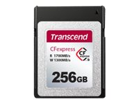 Transcend CFexpress 820 - Flash-muistikortti - 256 Gt - CFexpress Type B TS256GCFE820