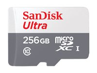 SanDisk Ultra - Flash-muistikortti (microSDXC to SD -adapteri sisältyvä) - 256 Gt - Class 10 - microSDXC UHS-I SDSQUNR-256G-GN6TA